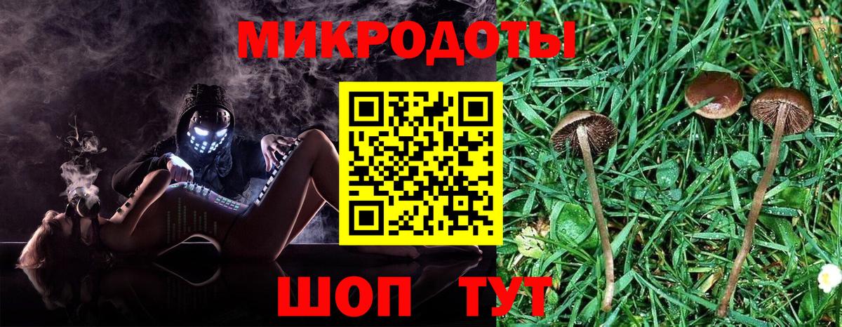 Галлюциногенные грибы мухоморы Спасск-Дальний
