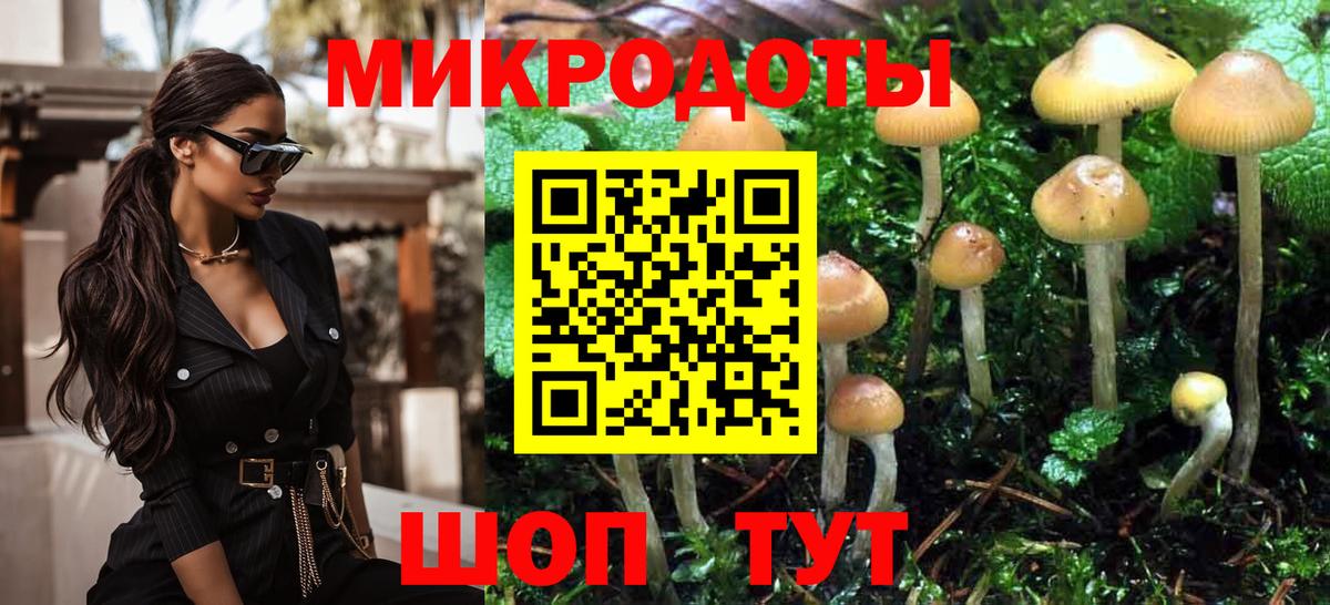 Спасск-Дальний  Псилоцибиновые грибы мухоморы  Вход с VPN 